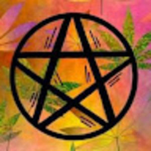 Meet your Posher, Tabitha